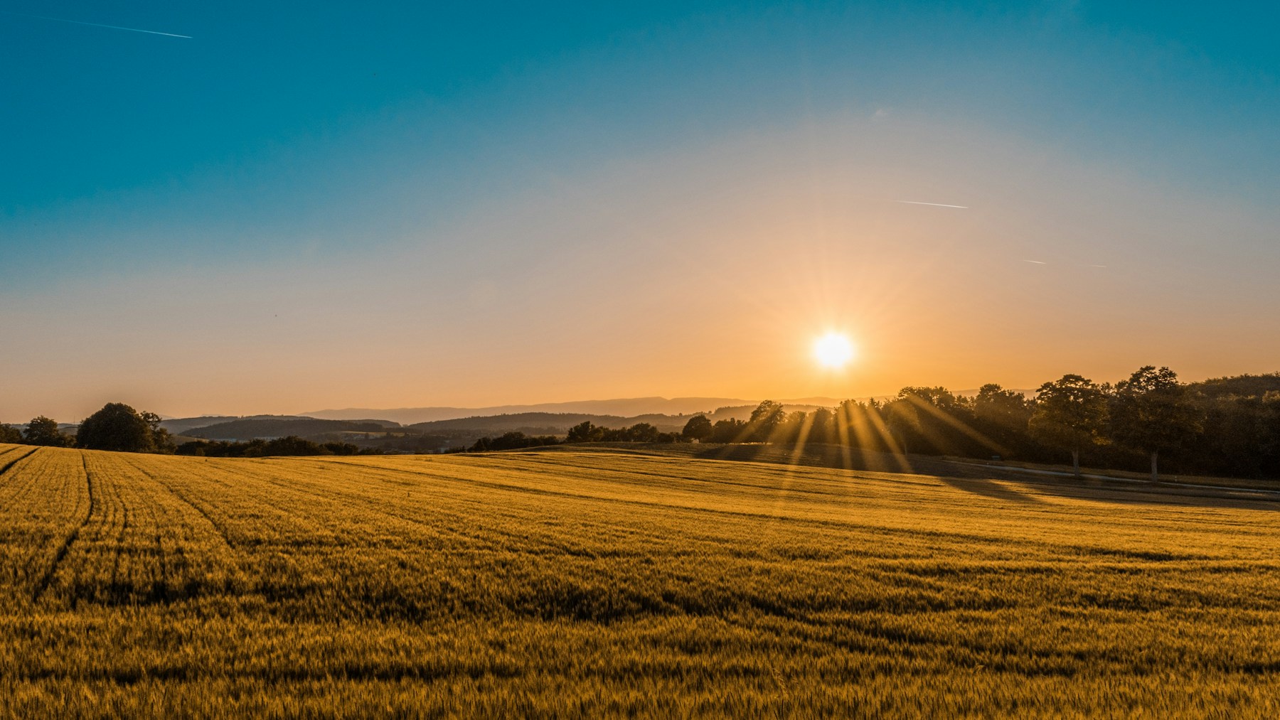 Rolling South Yorkshire countryside at sunset